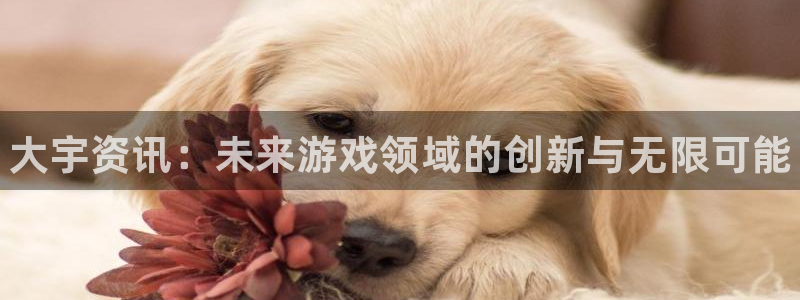 优贝娱乐线路测试：大宇资讯：未来游戏领域的创新与无限可能