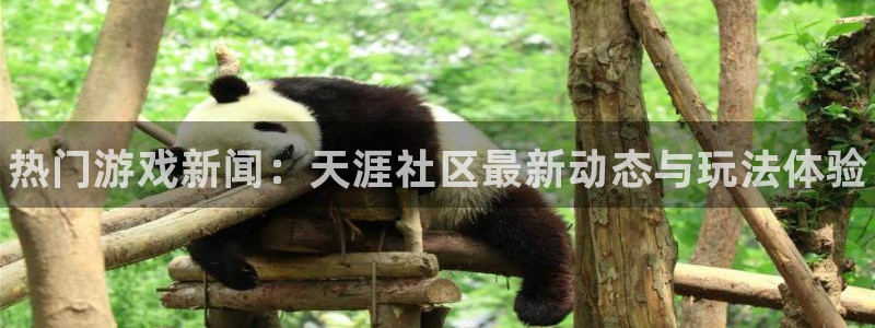 优贝娱乐官网：热门游戏新闻：天涯社区最新动态与玩法体验