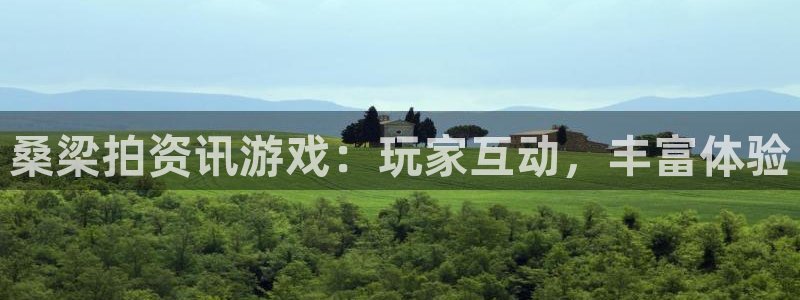 优贝娱乐平台登录：桑梁拍资讯游戏：玩家互动，丰富体验