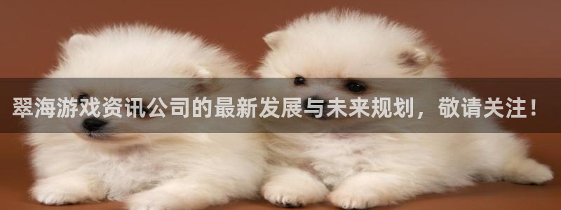 优贝娱乐测速登陆：翠海游戏资讯公司的最新发展与未来规划，敬请